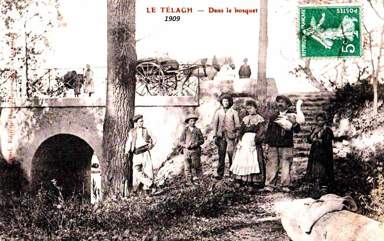 3076- Le Telagh - Dans le Bosquet - 1909.jpg